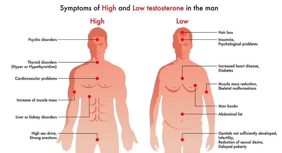 Low Testosterone Miami Gardens